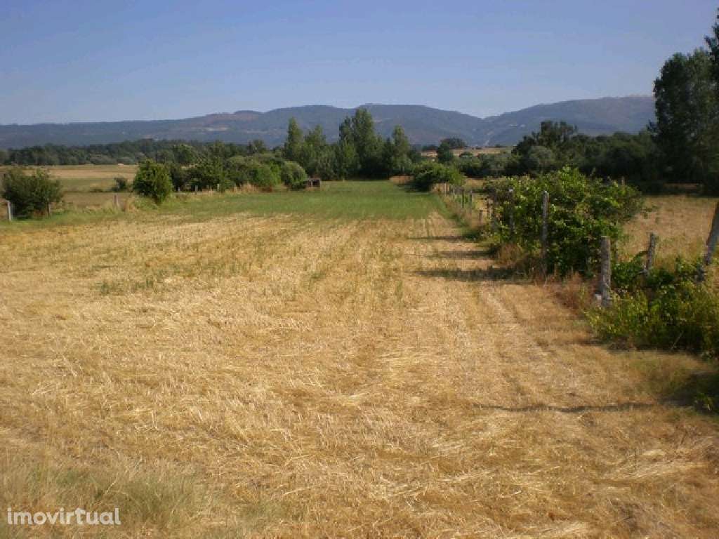 Quinta - Zona do Fundão - Grande imagem: 3/12