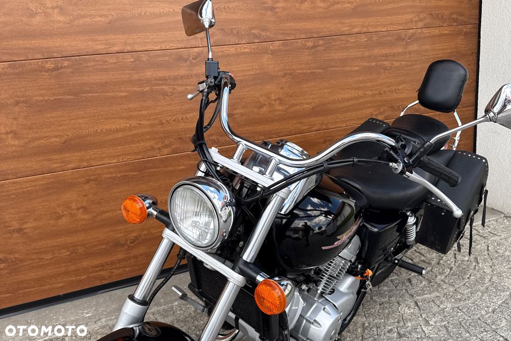 Honda Shadow - 19
