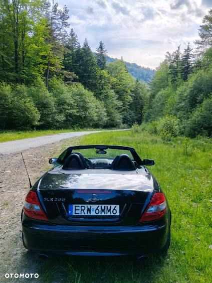 Mercedes-Benz SLK - 5