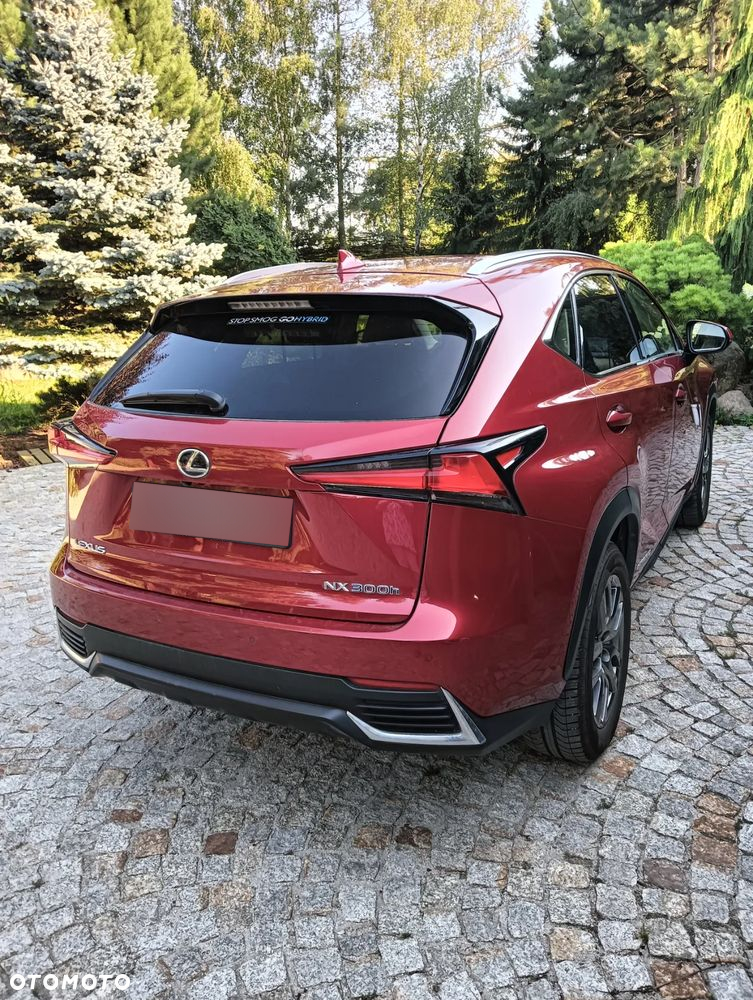 Lexus NX ver-300h-business-edition-awd - 17