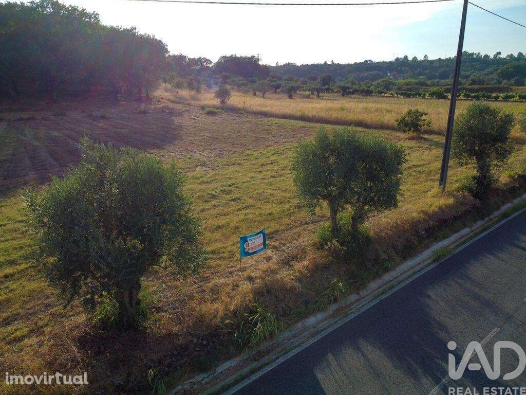 Terreno em Areias e Pias de 7560,00 m2 - Grande imagem: 2/27