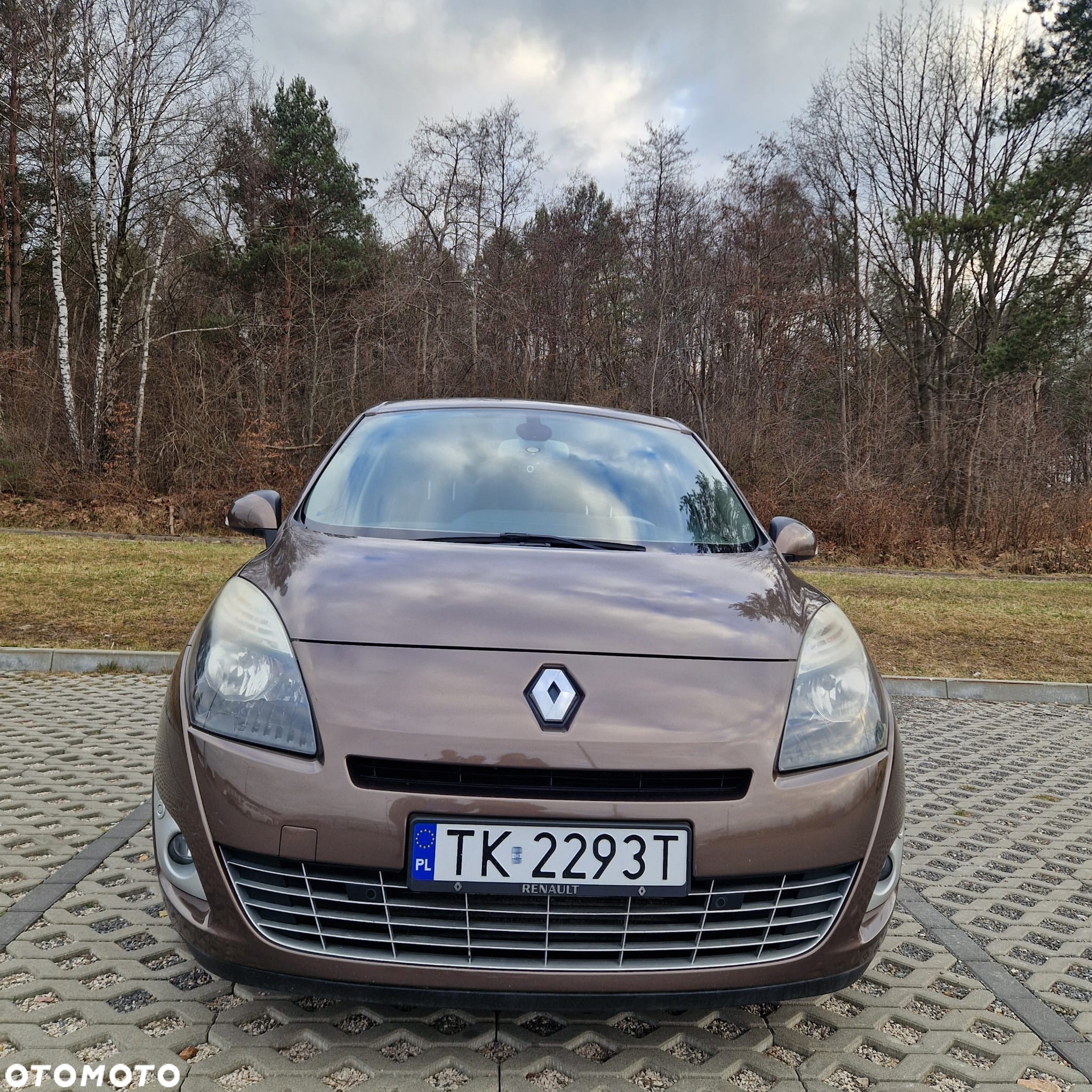Renault Scenic - 2