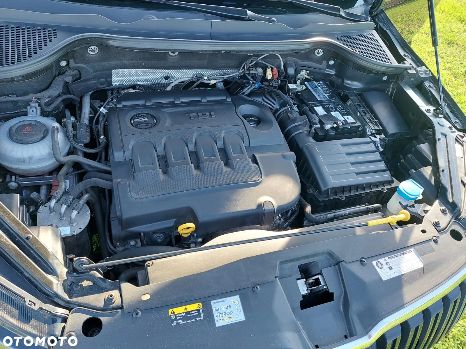 Skoda Karoq 2.0 TDI SCR 4x4 Scout DSG - 12