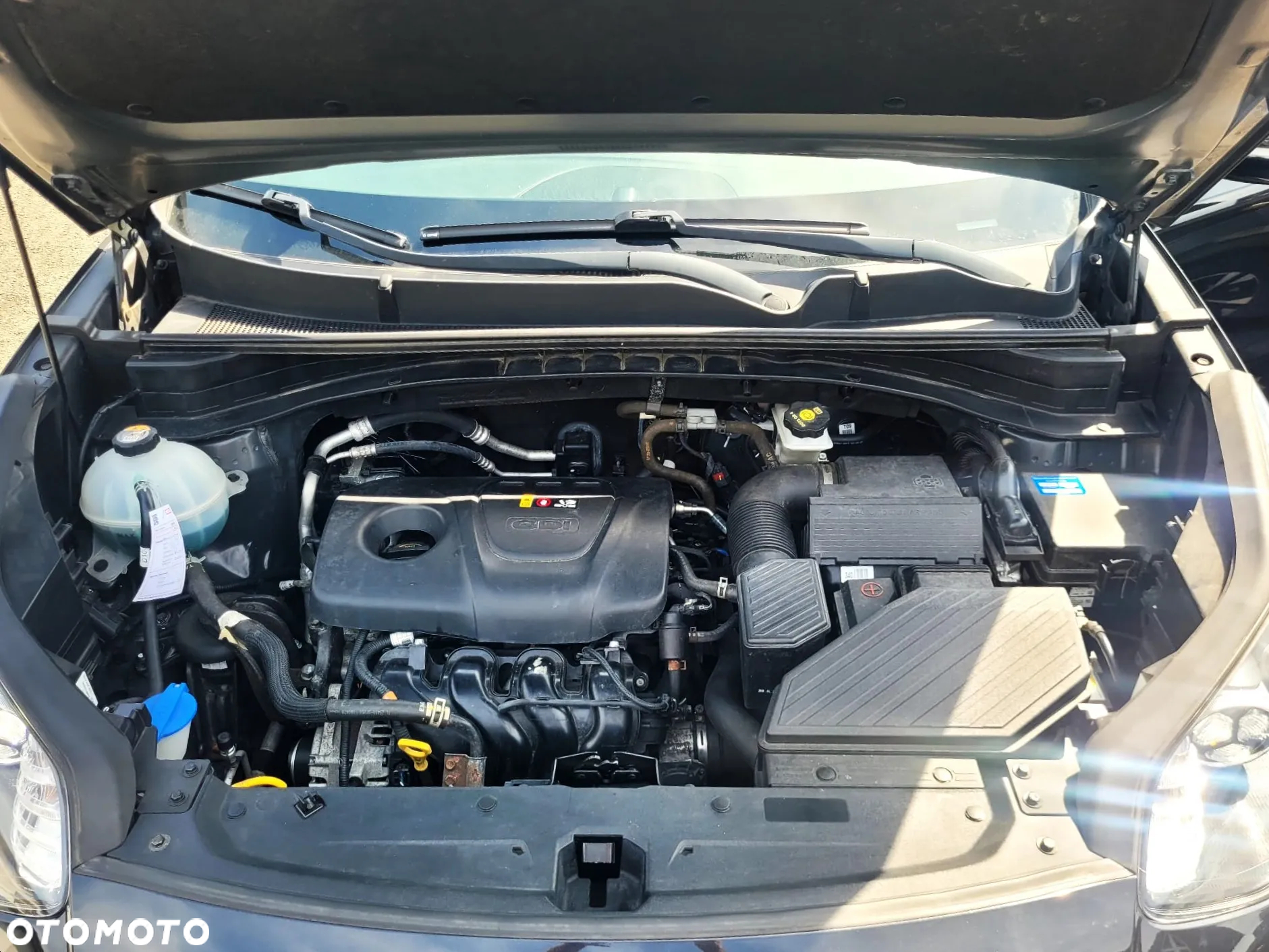 Kia Sportage 1.6 GDI Black Edition 2WD - 30