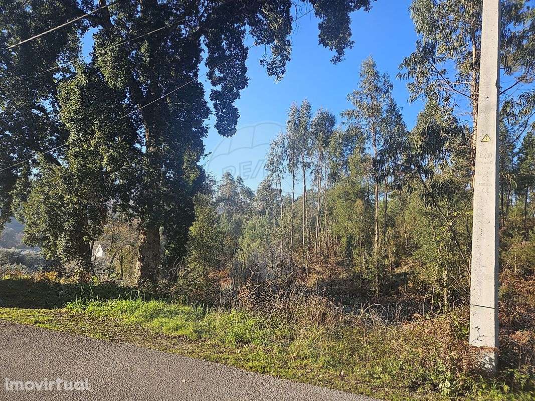 Terreno  para venda - Grande imagem: 4/18