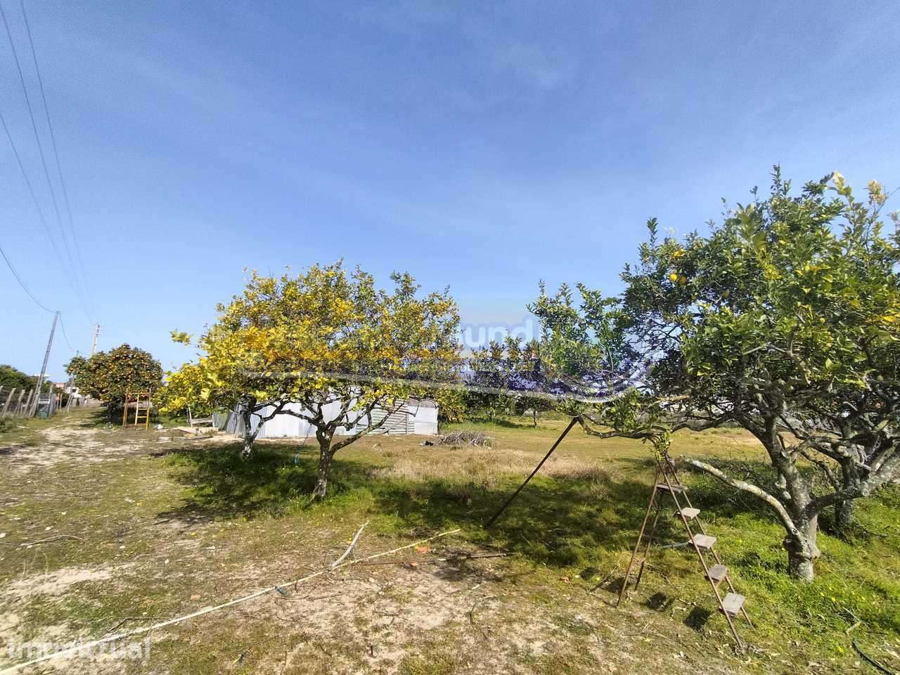 Terreno em Benavente (B446) - Grande imagem: 4/9