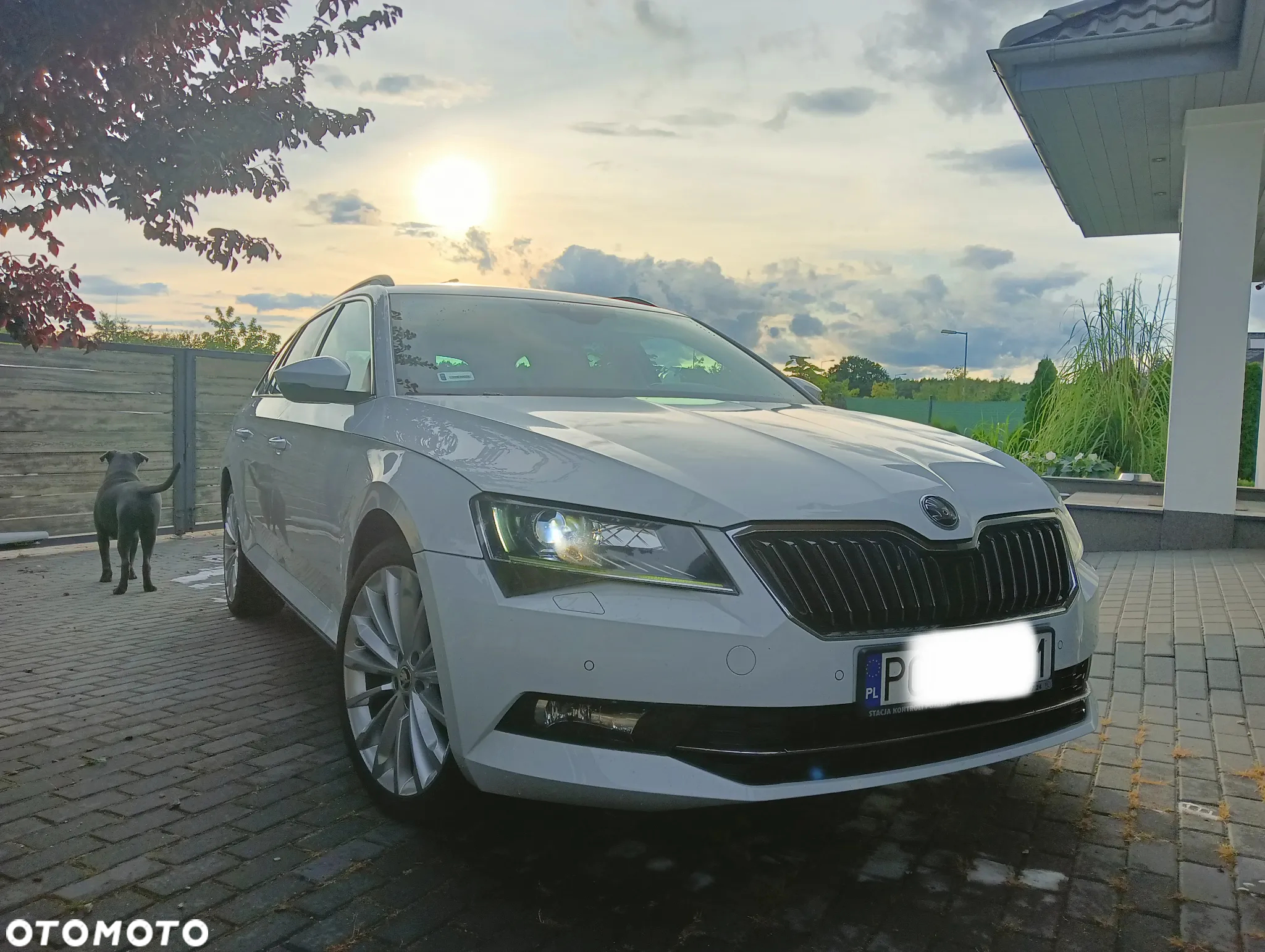 Skoda Superb Combi 1.6 TDI DSG Active - 2