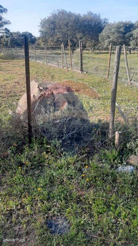 Terreno  para venda - Grande imagem: 2/25