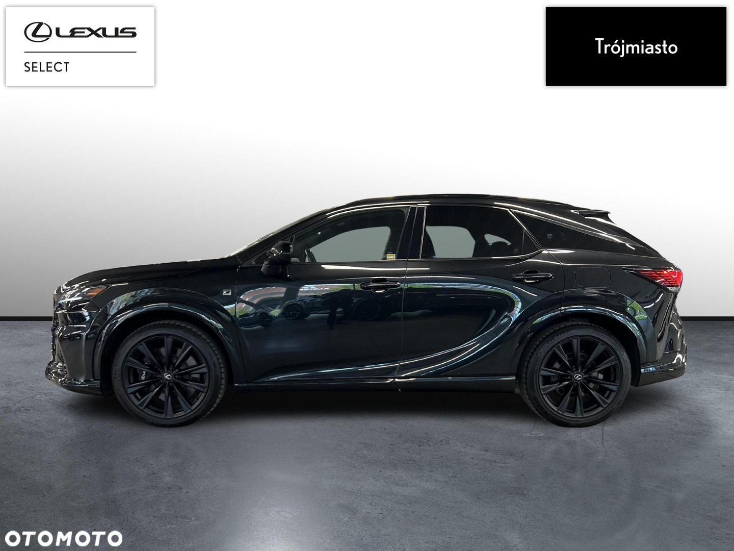 Lexus RX - 9