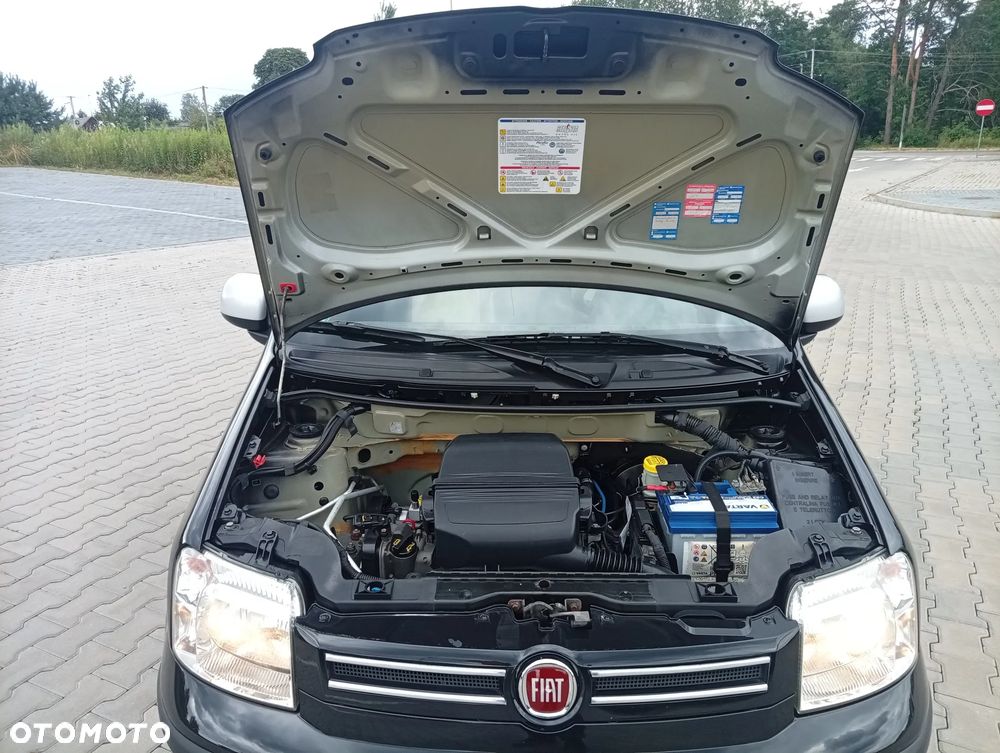 Fiat Panda - 31