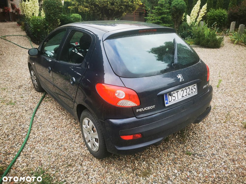 Peugeot 206 plus - 2