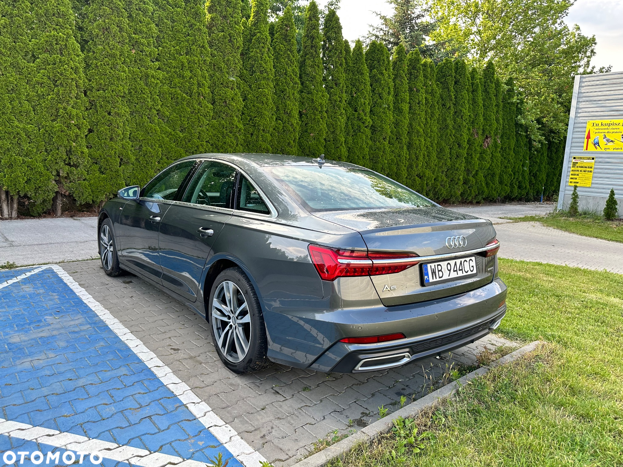 Audi A6 55 TFSI quattro S tronic S line - 6