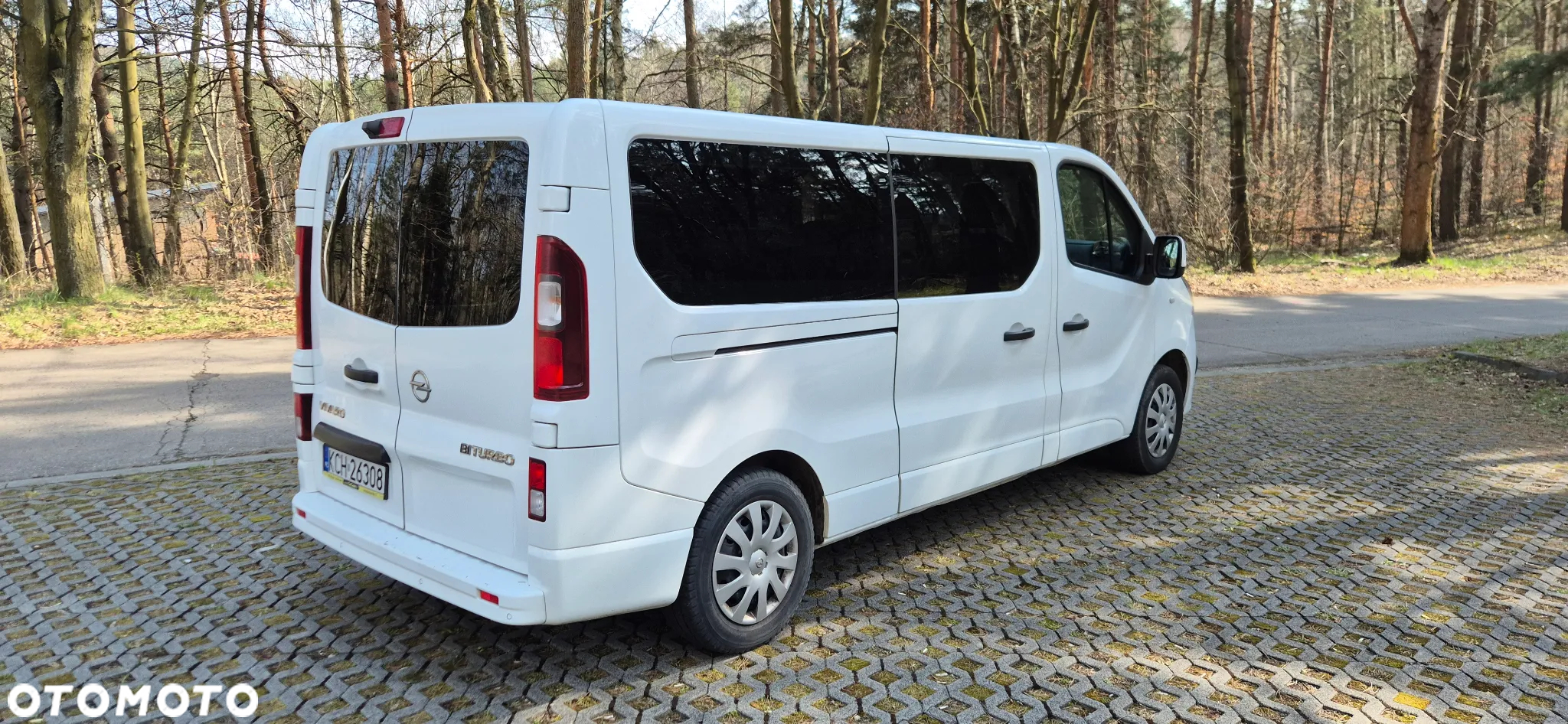 Renault Trafic - 4