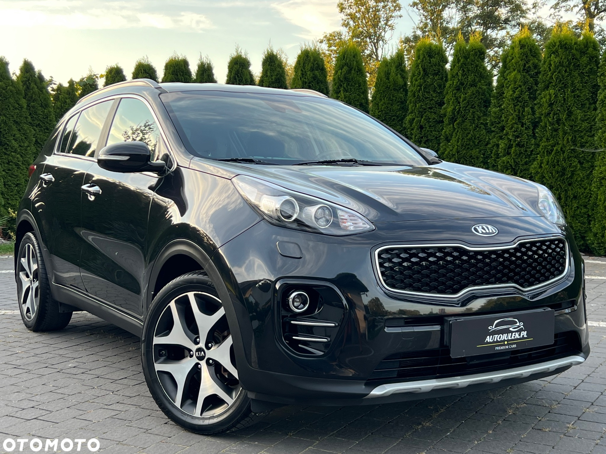 Kia Sportage 1.6 T-GDI L Business Line Plus 2WD - 18