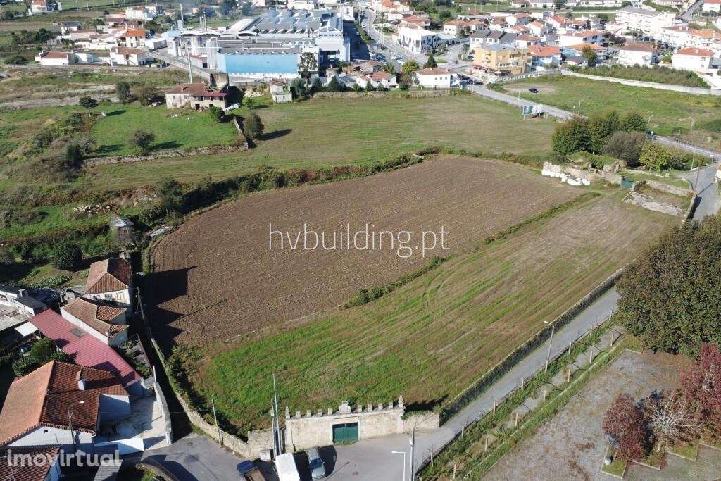 Terreno de construção com 10.000m2 em Vila Frescainha (S. Martinho), B - Grande imagem: 4/10