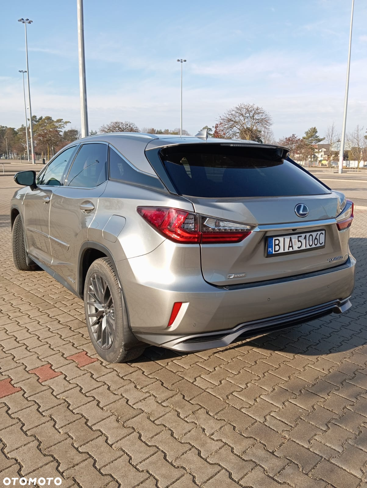 Lexus RX 450h Elite - 6