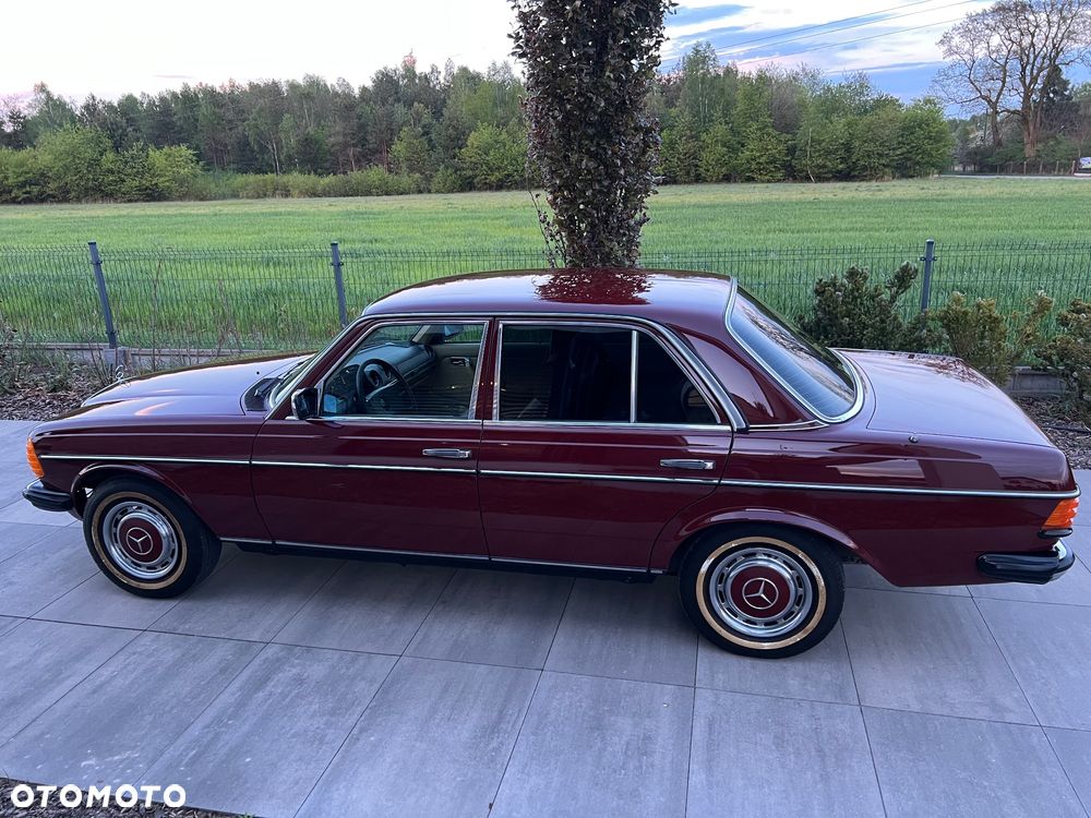 Mercedes-Benz W123 - 19