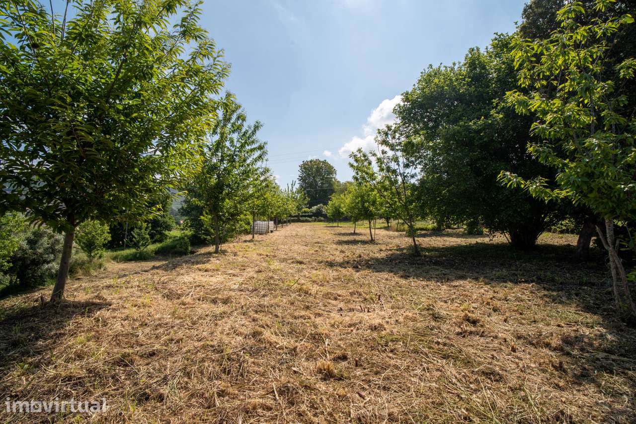 Terreno 6.362 m² | Projeto 7 Moradias c/ Piscina | Durrães · Barcelos - Grande imagem: 5/7