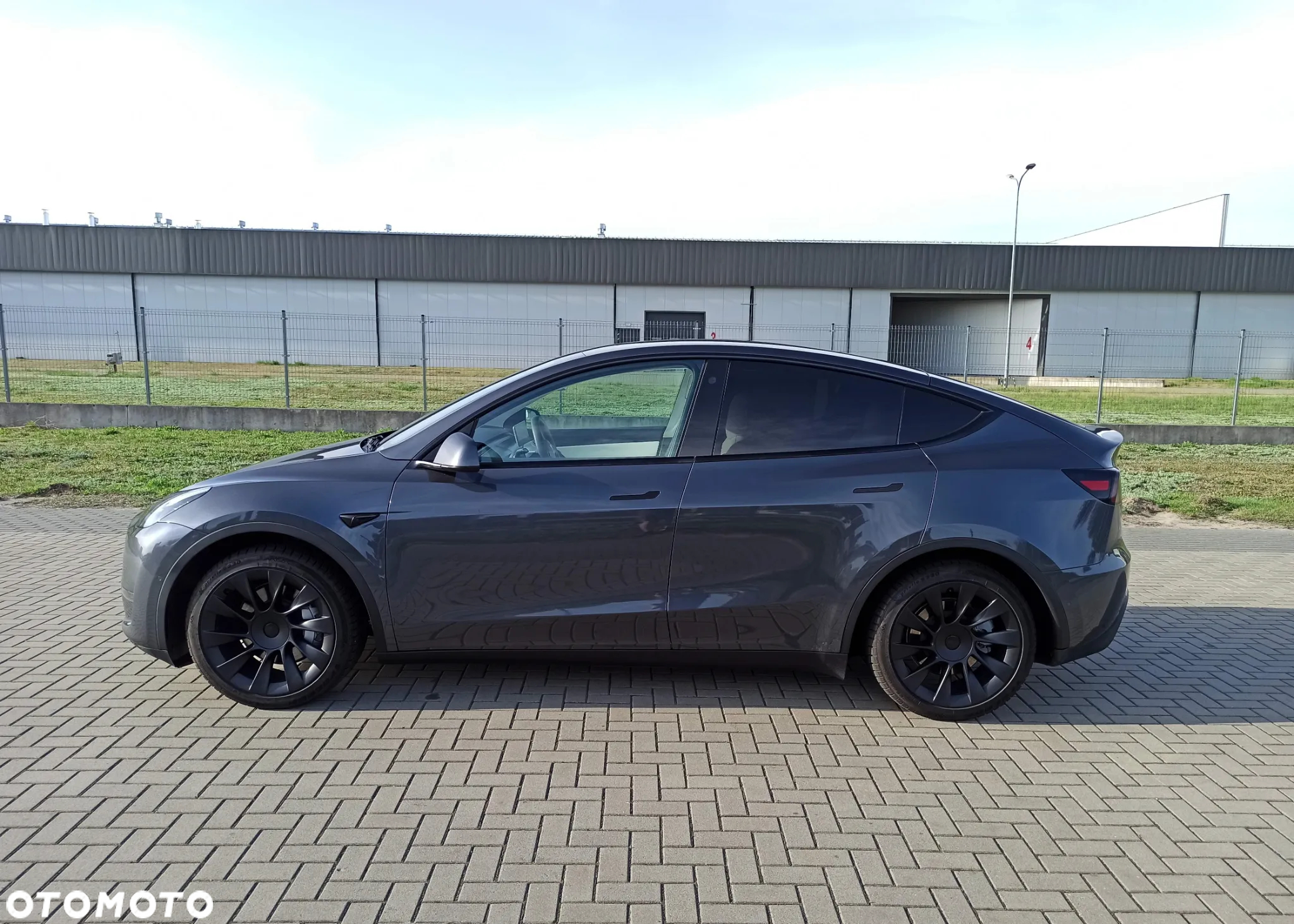 Tesla Y Model RWD - 2