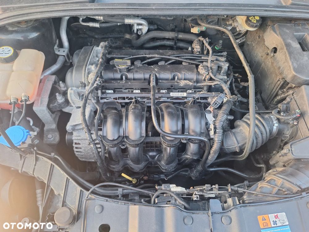 Ford Focus 1.6 TI-VCT Champions Edition - 13