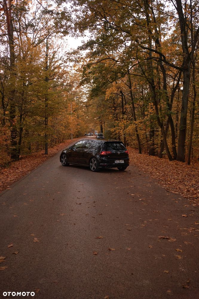 Volkswagen Golf VII 2.0 TSI BMT 4Mot R - 9