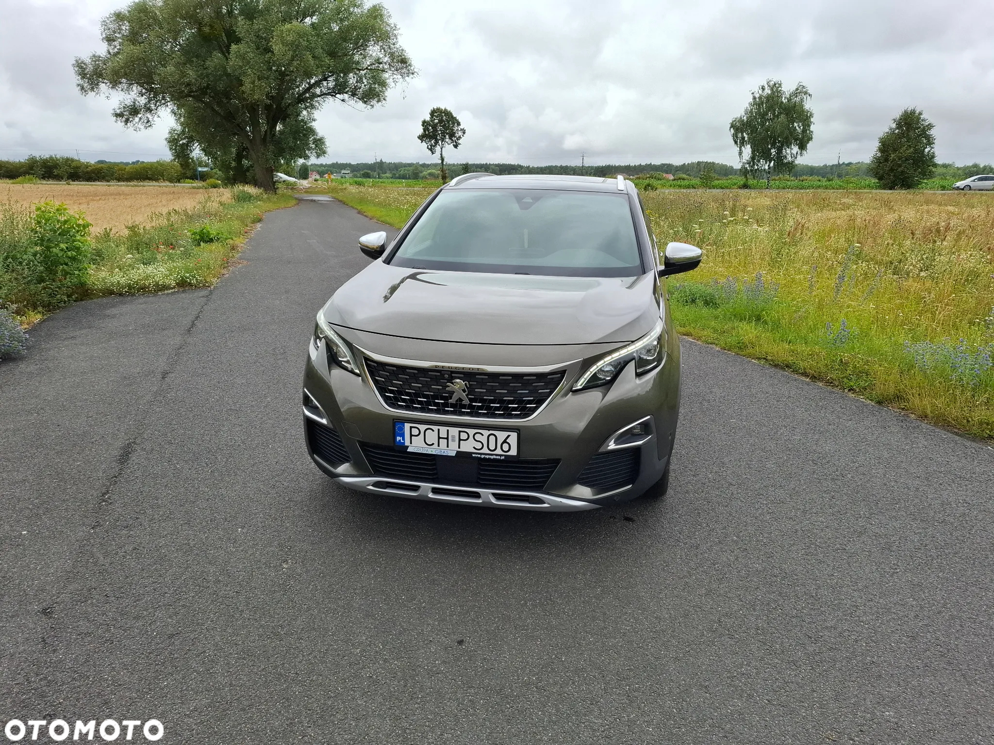 Peugeot 3008 BlueHDi 180 Stop & Start EAT6 GT - 2