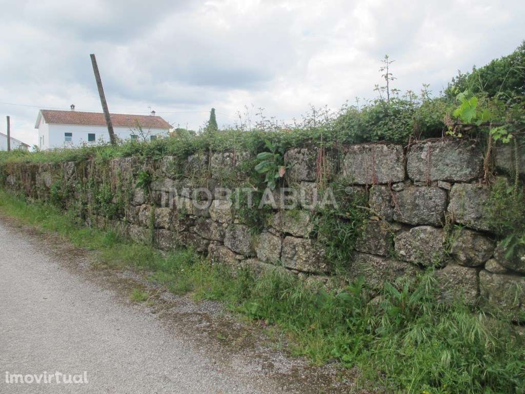 Terreno para Construção em Ázere, Tábua - Grande imagem: 4/4