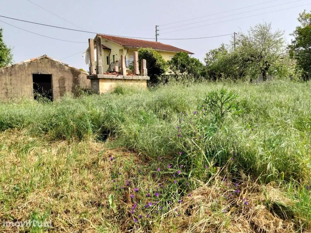 Terreno com 30m de frente - Albergaria -a -Velha - Grande imagem: 4/20