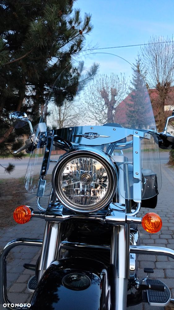 Suzuki VL 800 Volusia - Boulevard C50 - 18