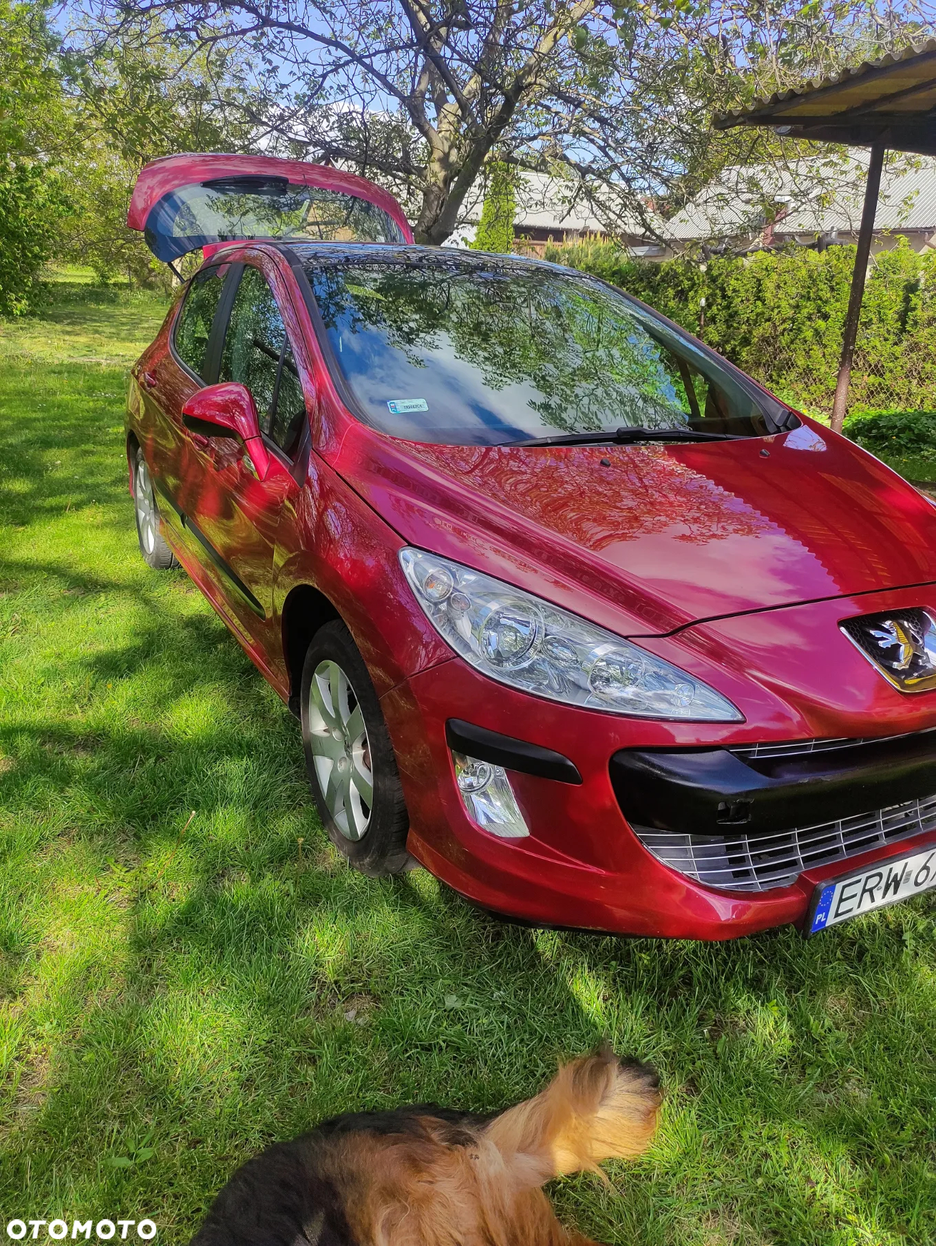 Peugeot 308 1.6 Trendy - 5