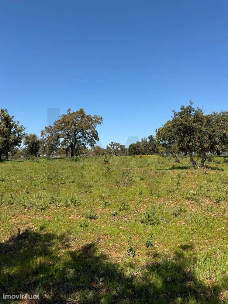 Terreno de 50ha em Santiago do Cacém - Grande imagem: 3/13