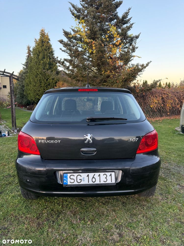 Peugeot 307 1.6 - 9