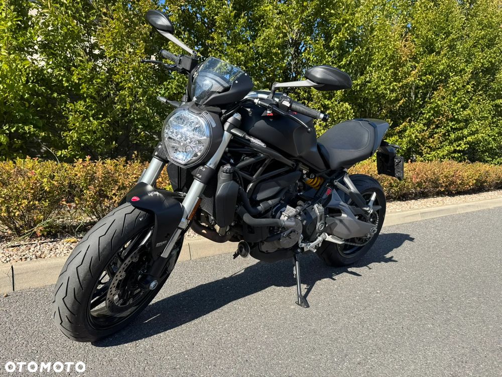 Ducati Monster - 5