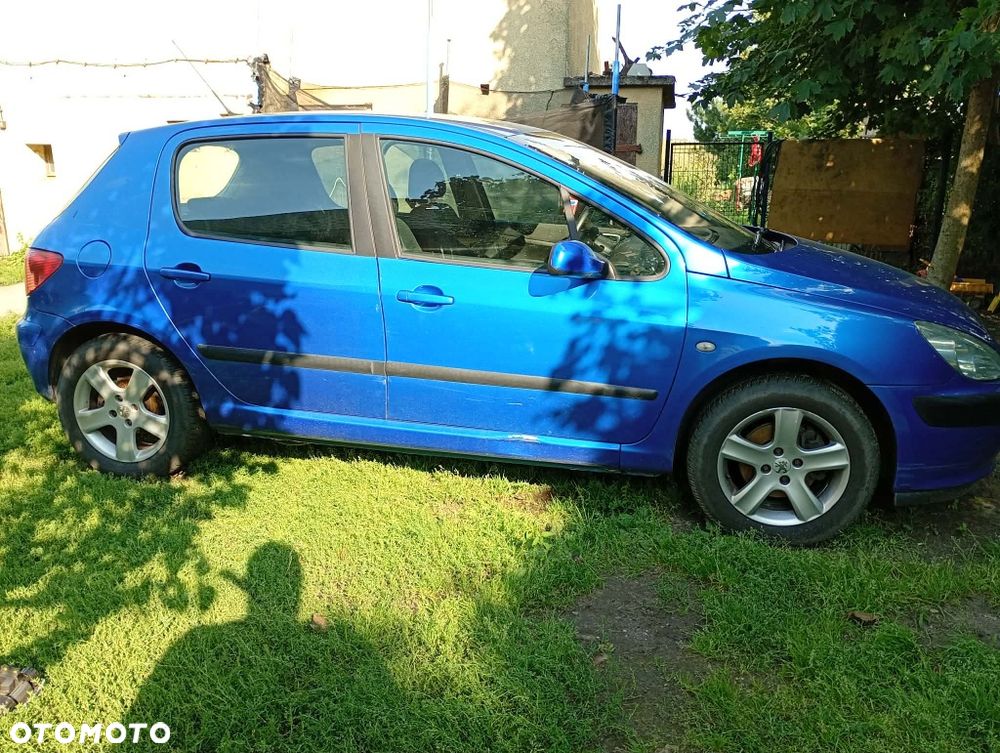 Peugeot 307 - 1