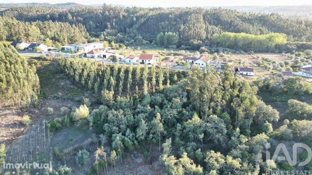 Terreno para construção em Pelariga - Grande imagem: 4/22