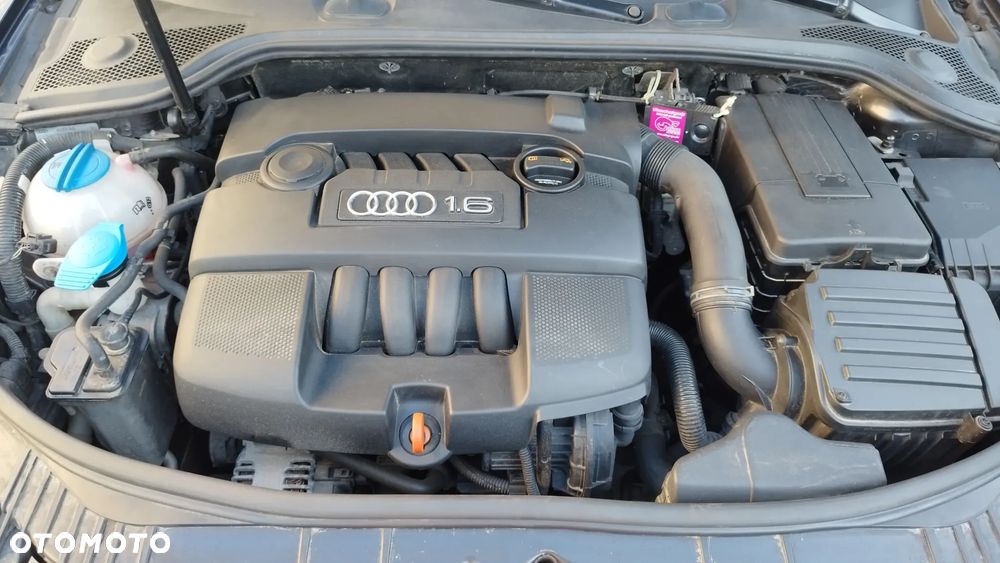 Audi A3 Sportback 1.6 Attraction - 29