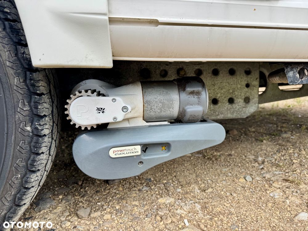Bailey - 21