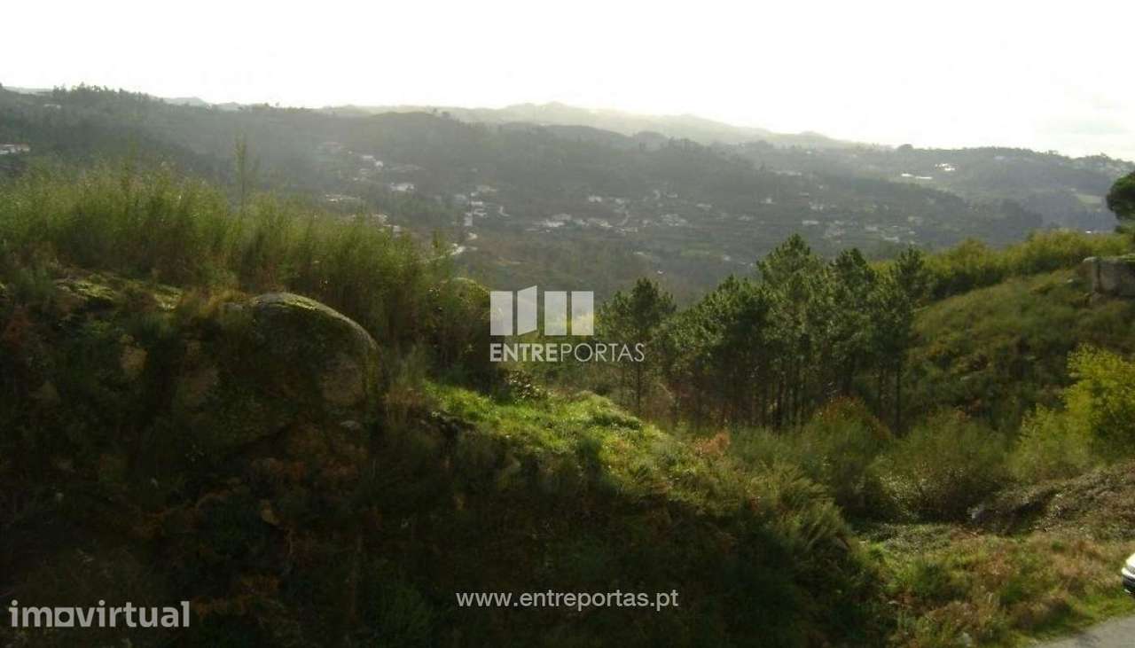 Venda Terreno, Tabuado, Marco de Canaveses - Grande imagem: 2/7