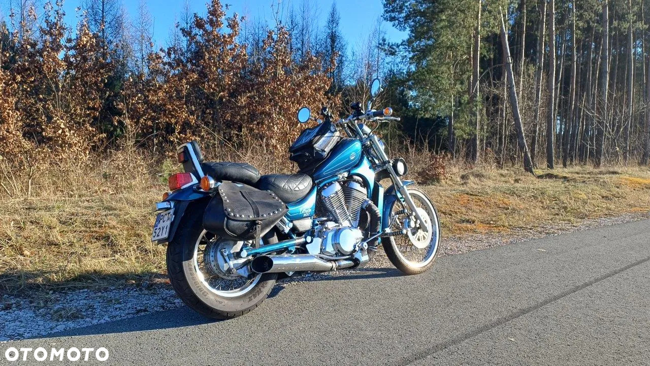 Suzuki Intruder - 12