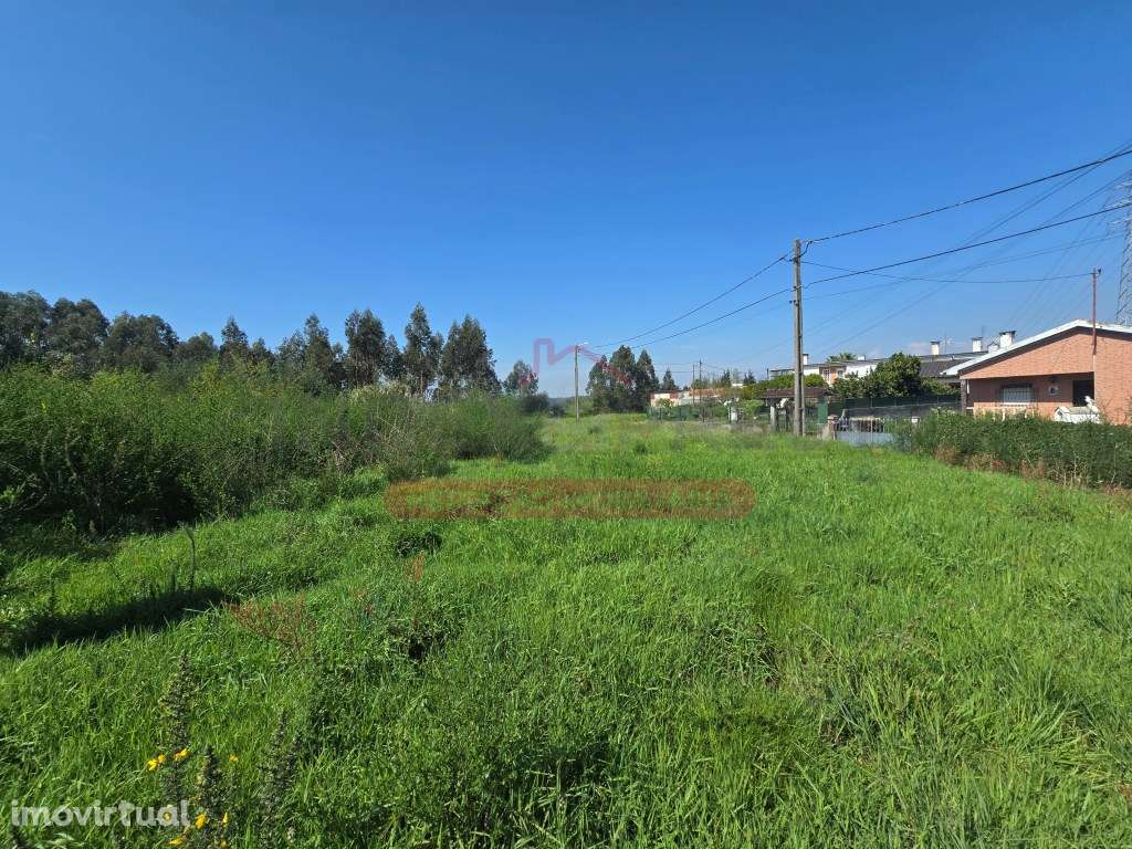 Lote terreno p/ construção - várias possibilidades - Águeda - Grande imagem: 2/8