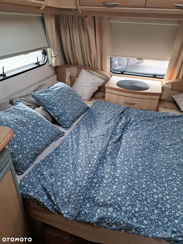 Coachman Amara - 7