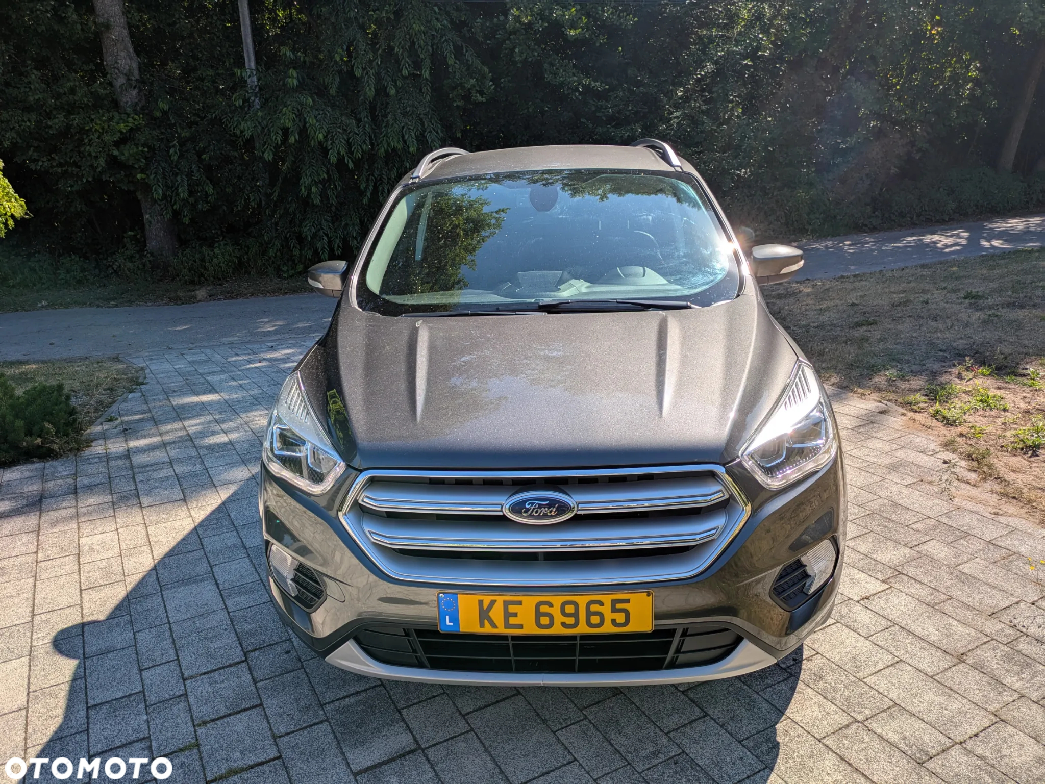 Ford Kuga 1.5 EcoBoost FWD Edition ASS MMT6 - 2