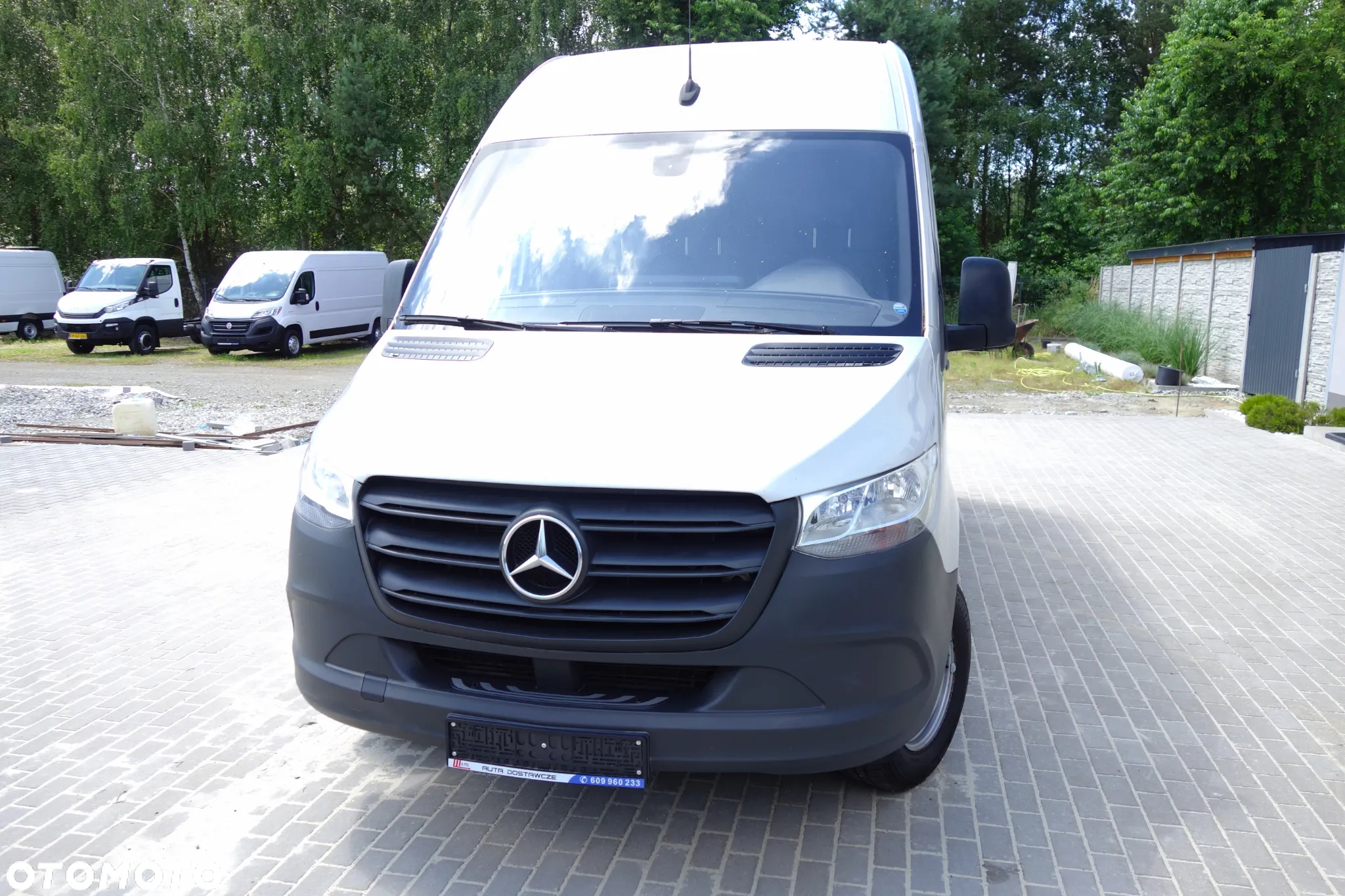 Mercedes-Benz Sprinter 316 Cdi Automat L3H2 Klima Navi Webasto - 30