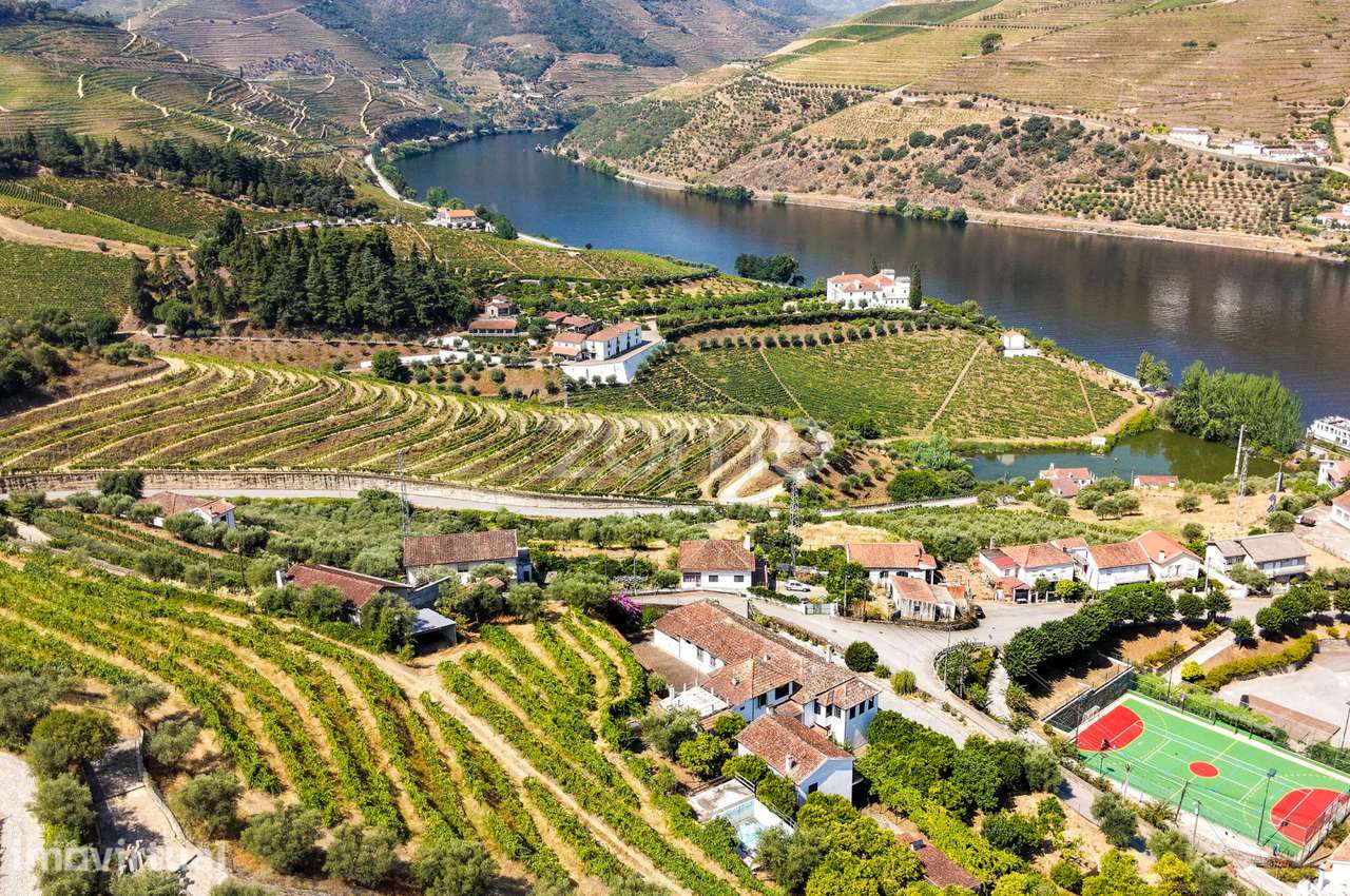 “Quinta Casa do Cruzeiro” com vinha - Douro - Folgosa - Grande imagem: 3/30