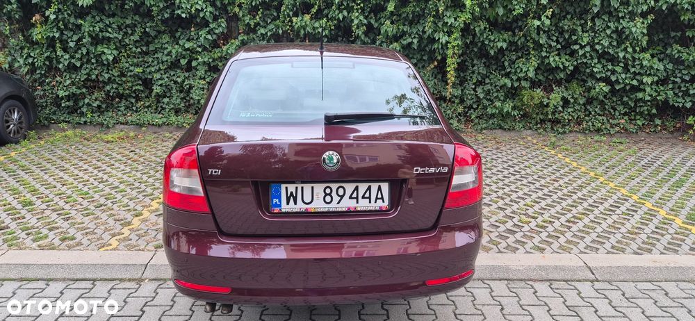 Skoda Octavia 1.9 TDI Mint - 2
