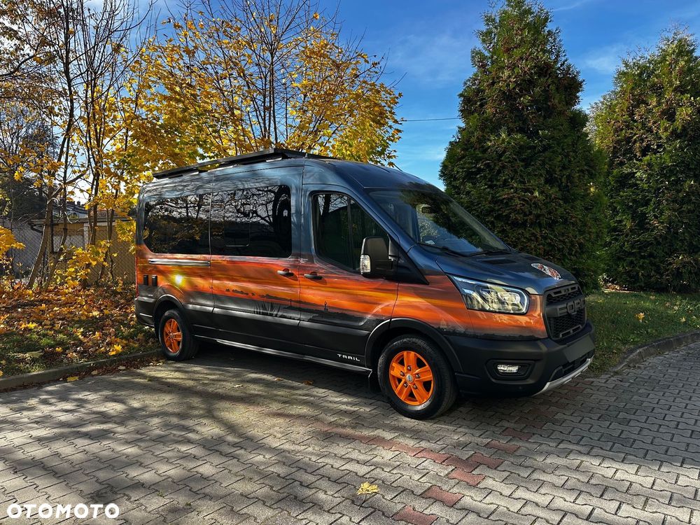 Ford Transit - 1