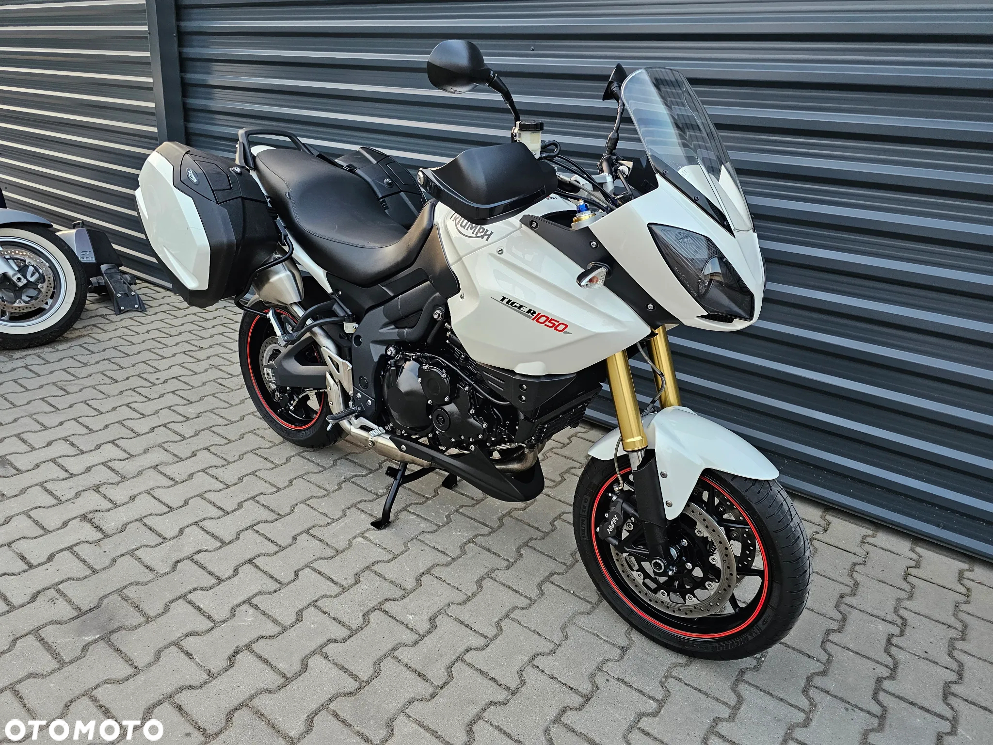 Triumph Tiger - 2