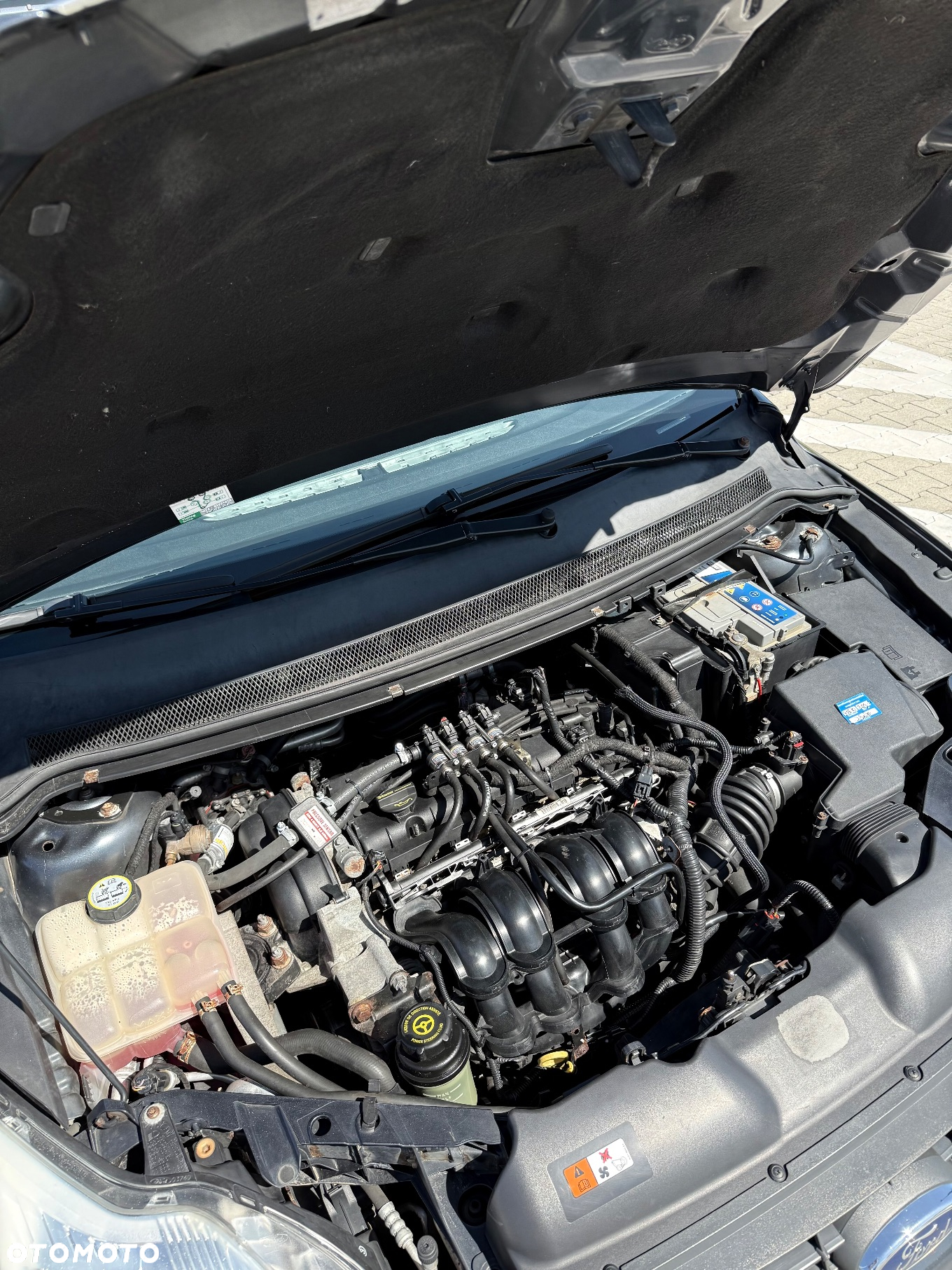 Ford Focus - 18
