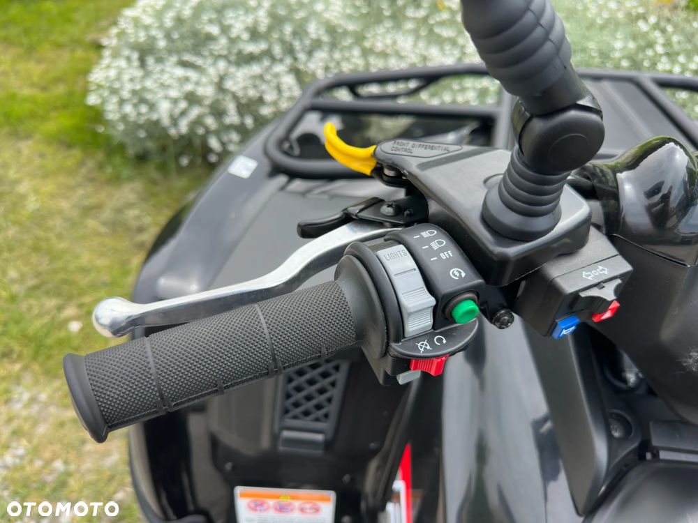 Kawasaki Brute Force - 7