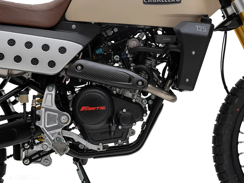 Fantic Inny - 11